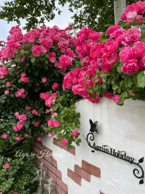 Agri In Holiday Hirosaki Exterior photo