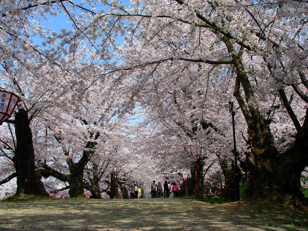 Agri In Holiday Hirosaki Exterior photo